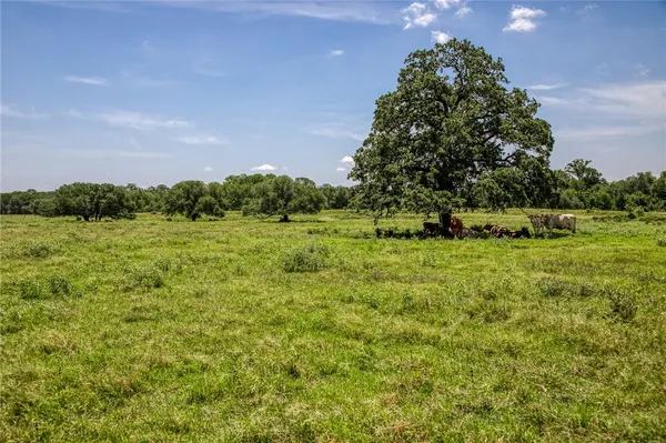 a view of a green field with lots of bushes