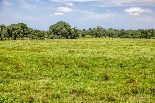 a view of a field with a tree in front of it