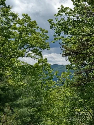 $34,000 | 0 Dogwood Lane, Unit E2, Penrose, NC 28766