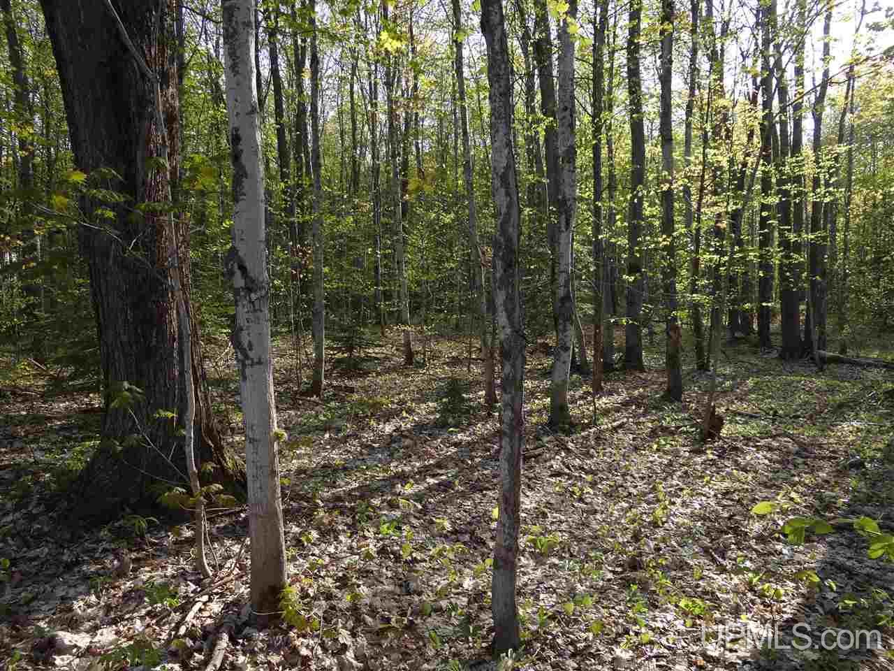 Tbd Rauhala Road, Unit PARCEL 7 Atlantic Mine, MI 49931 - Photo 8 of 15