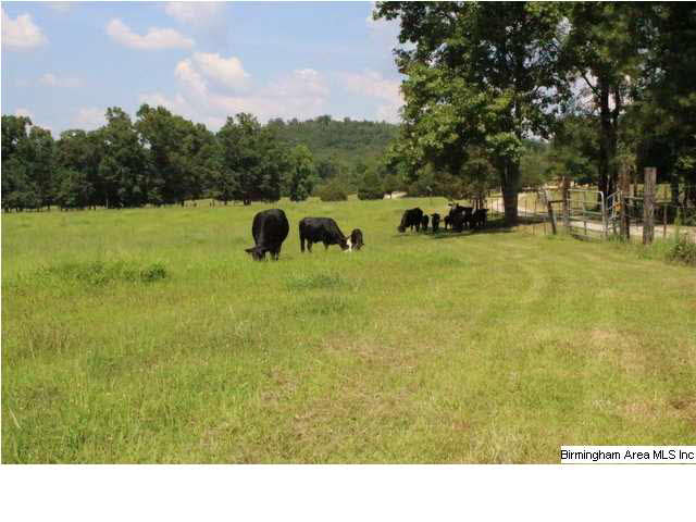 Mudd Street Lincoln, AL 35096 - Photo 25 of 32