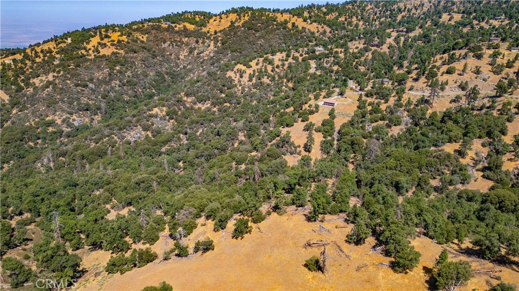 29600 Goldspike Road Tehachapi, CA 93561 - Photo 32 of 48 a view of a tree in a yard