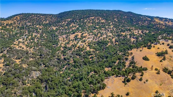 a view of a lush green hillside and a mountain