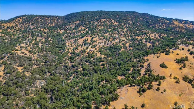 a view of a lush green hillside and a mountain