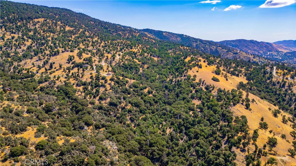 29600 Goldspike Road Tehachapi, CA 93561 - Photo 38 of 48 a view of a large tree