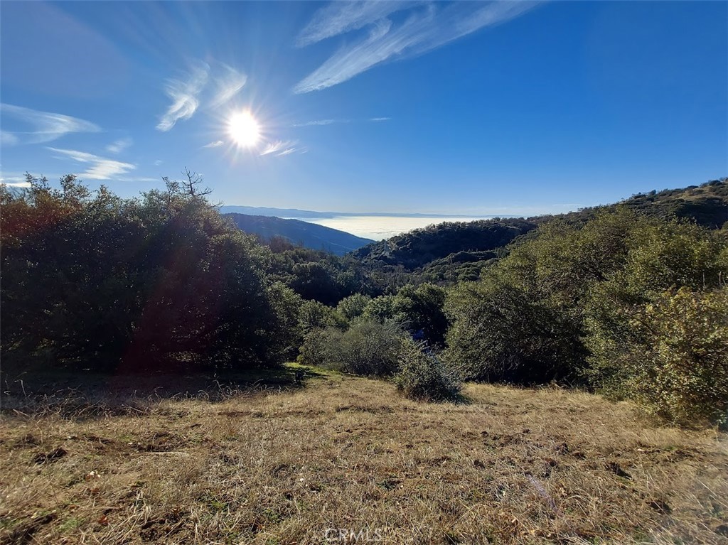 29600 Goldspike Road Tehachapi, CA 93561 - Photo 44 of 48 a view of outdoor space and mountain