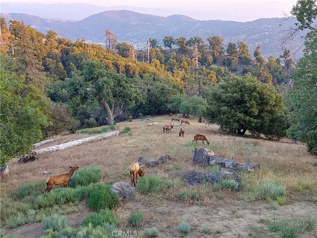 $599,000 | 29600 Goldspike Road, Tehachapi, CA 93561