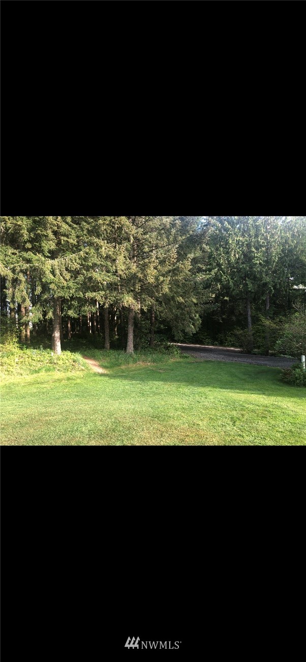 0 Widgeon Hill Road Chehalis, WA 98532 - Photo 1 of 1 Gallery Image 1