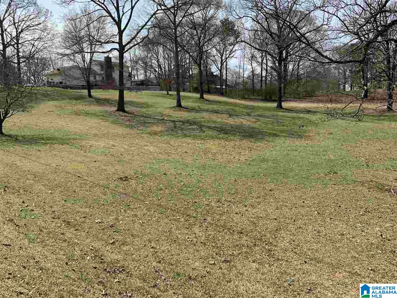 720 Big Rock Road Pell City, AL 35128 - Photo 10 of 47