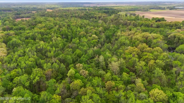 $390,000 | 6 Nail Road, Walls, MS 38680