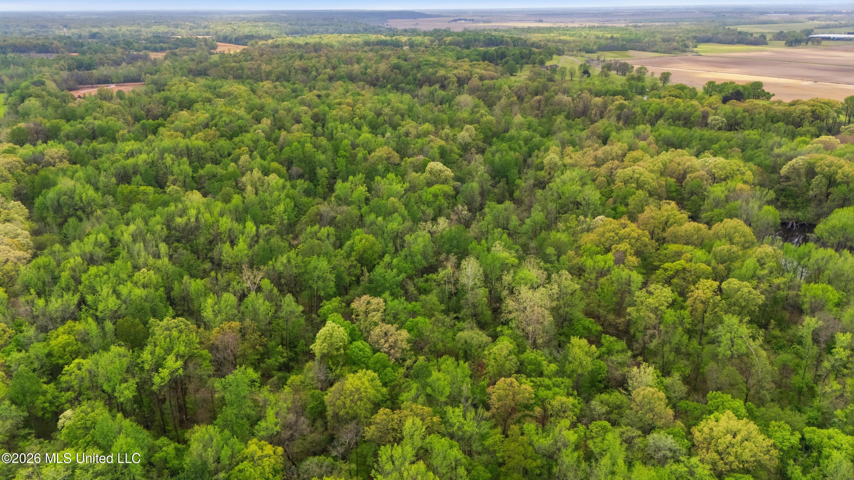2 Nail Road Walls, MS 38680 - Photo 10 of 12 bartlett_graves_-_horn_lake_land_009