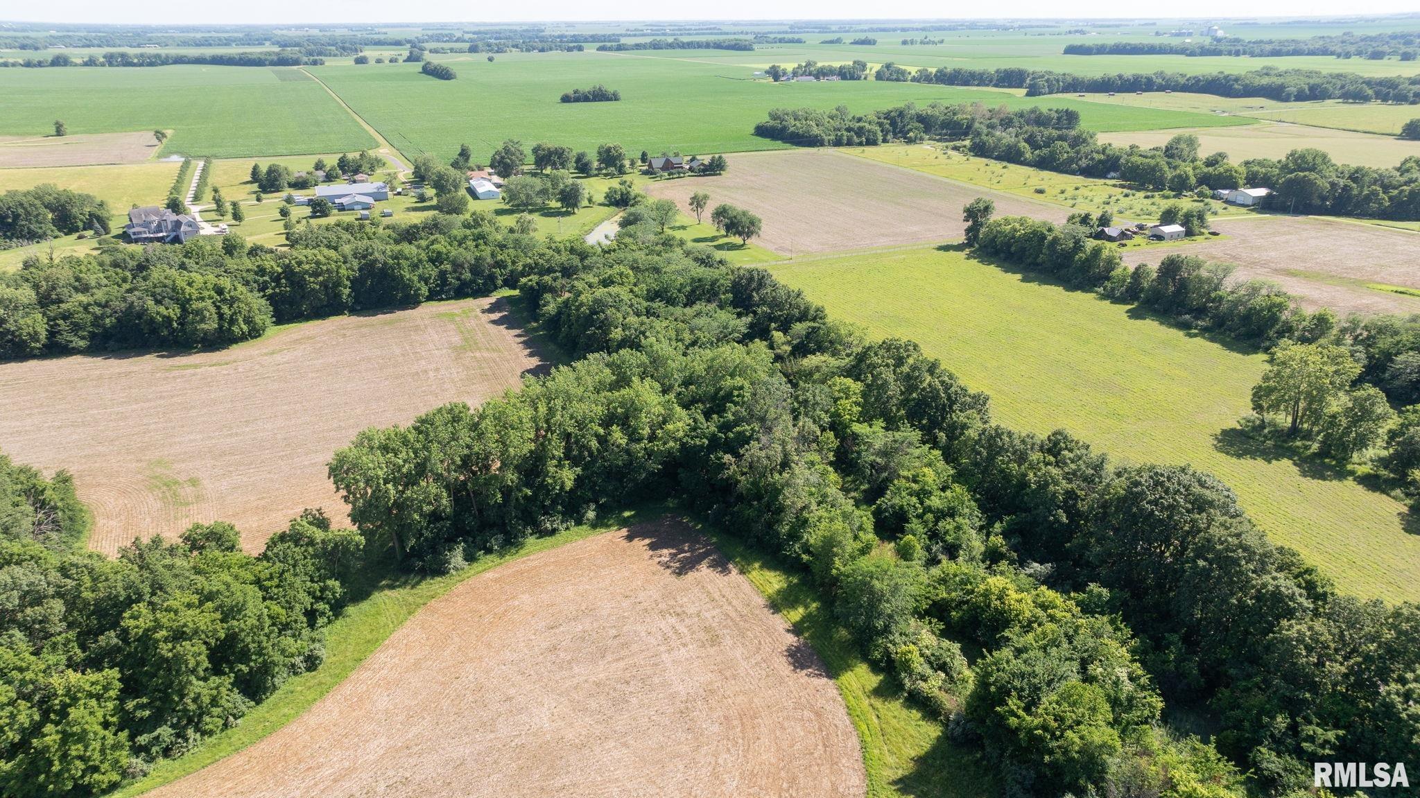 8543 Frey Road Pleasant Plains, IL 62677 - Photo 5 of 23