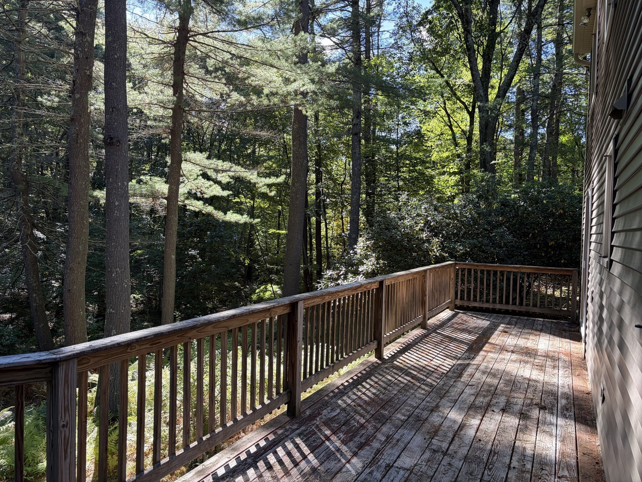 23 Forest Street Upton, MA 01568 - Photo 19 of 38 Gallery Image 19