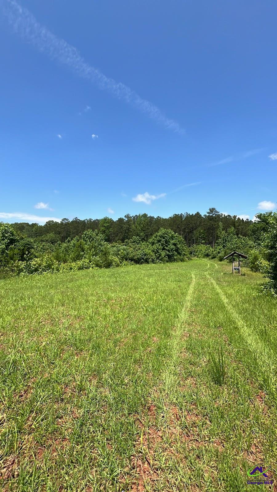 Sugar Hill Road Hillsboro, GA 31038 - Photo 4 of 6 a view of a field with an ocean