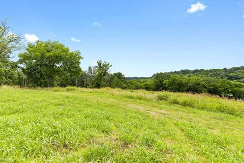 a view of a lush green space with sea