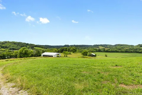 a view of an ocean from a yard