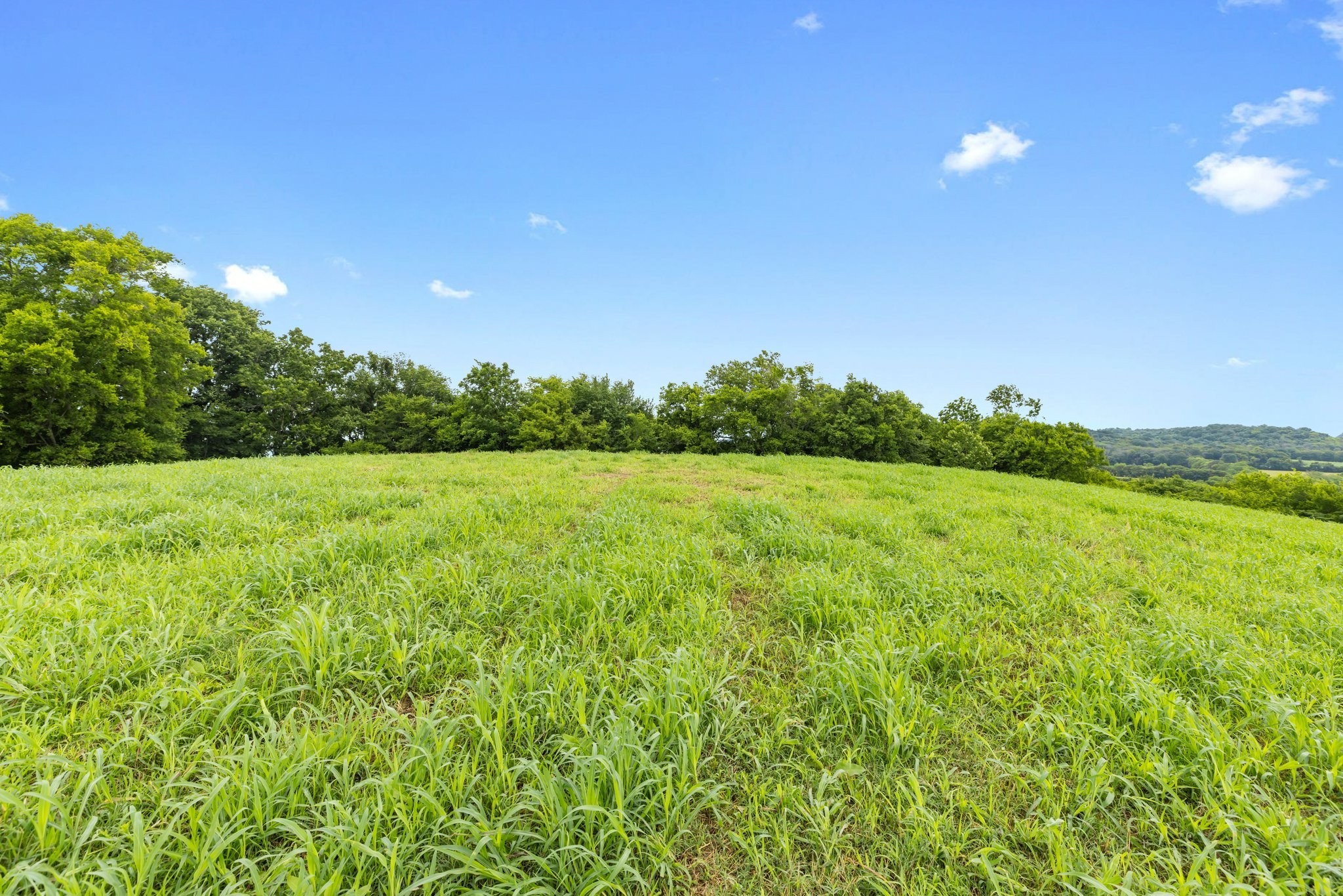 1914 Thompson's Station Road East Thompson's Station, TN 37179 - Photo 18 of 28 a view of a grassy field with trees in the background