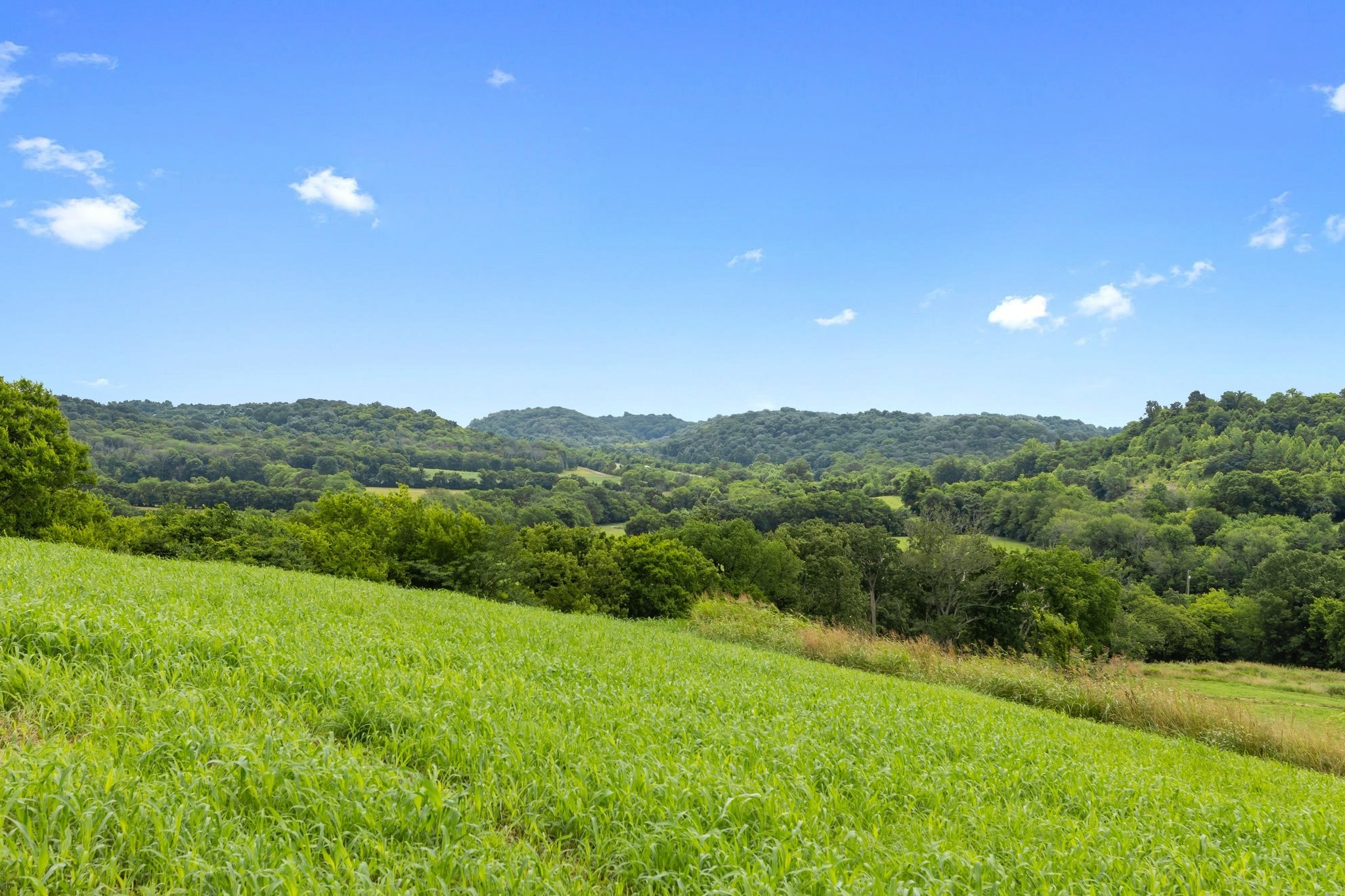 1914 Thompson's Station Road East Thompson's Station, TN 37179 - Photo 20 of 28 a view of a lush green space with sea