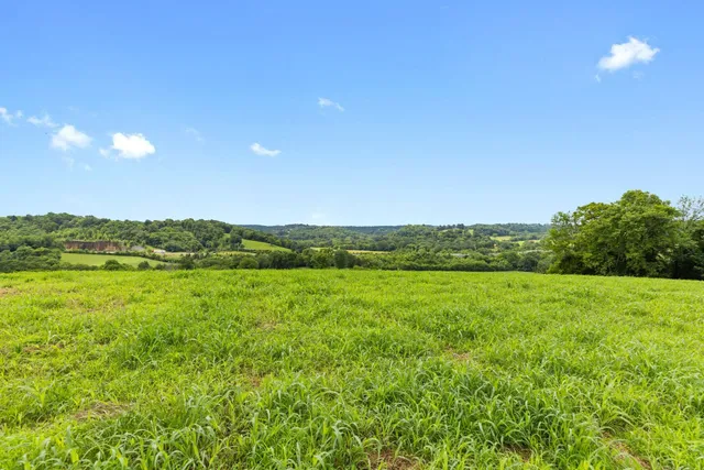 $1,500,000 | 1914 Thompson's Station Road East, Thompson's Station, TN 37179