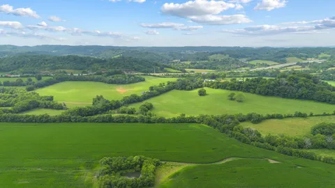 a view of a city with lush green forest