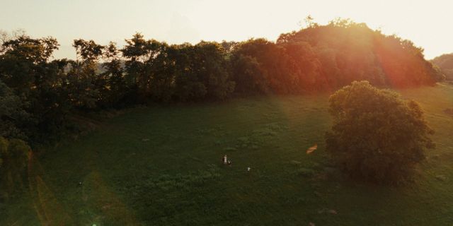 a view of a small yard