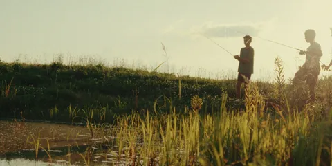 a view of a city with lush green forest