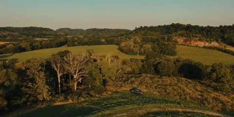 a view of a big yard with large trees