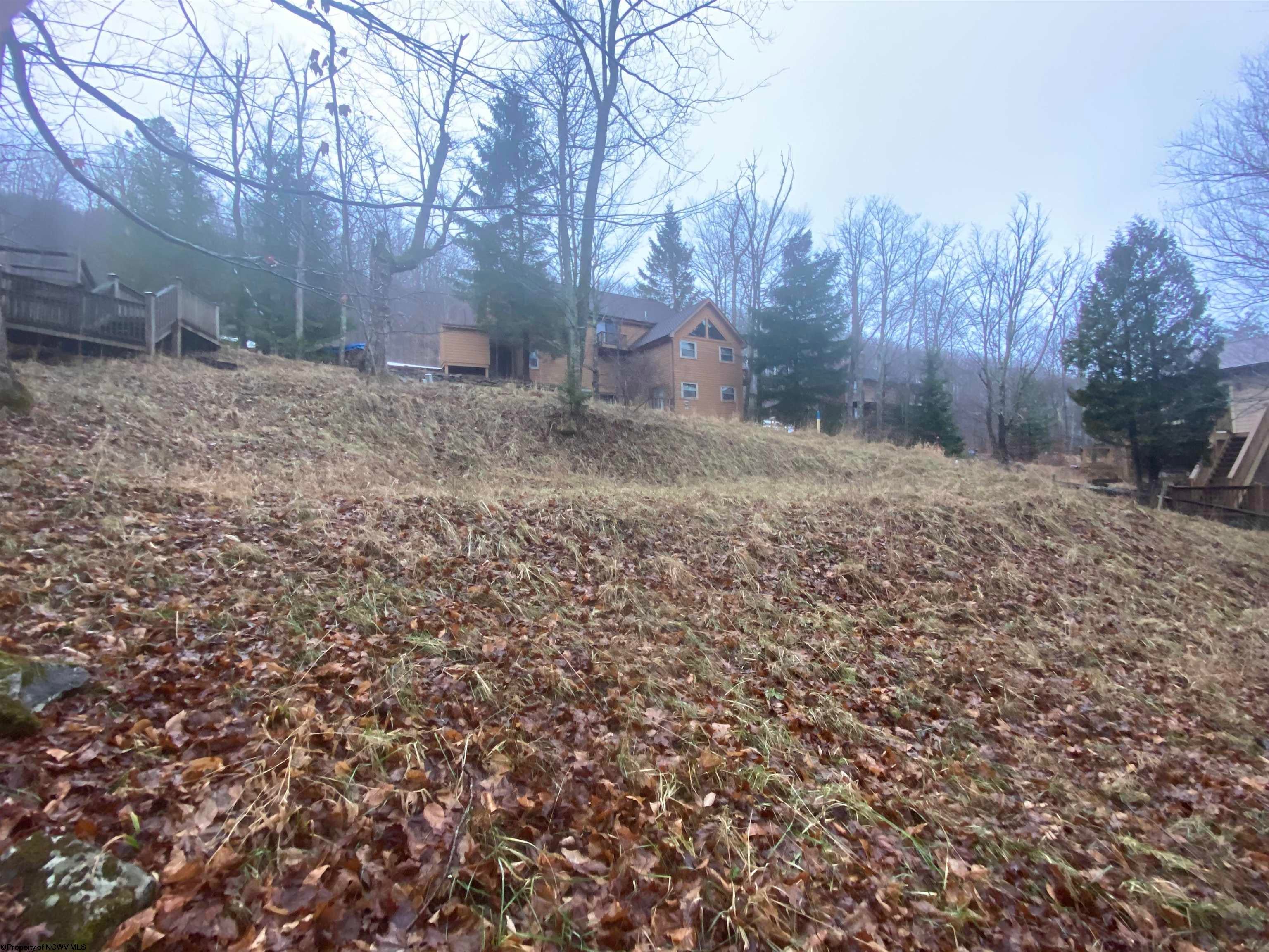 Lot 72 Brookside Road Davis, WV 26260 - Photo 2 of 14 Gallery Image 2