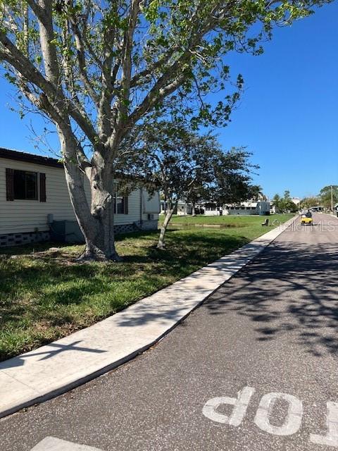 3217 Brewster Drive Holiday, FL 34690 - Photo 2 of 15