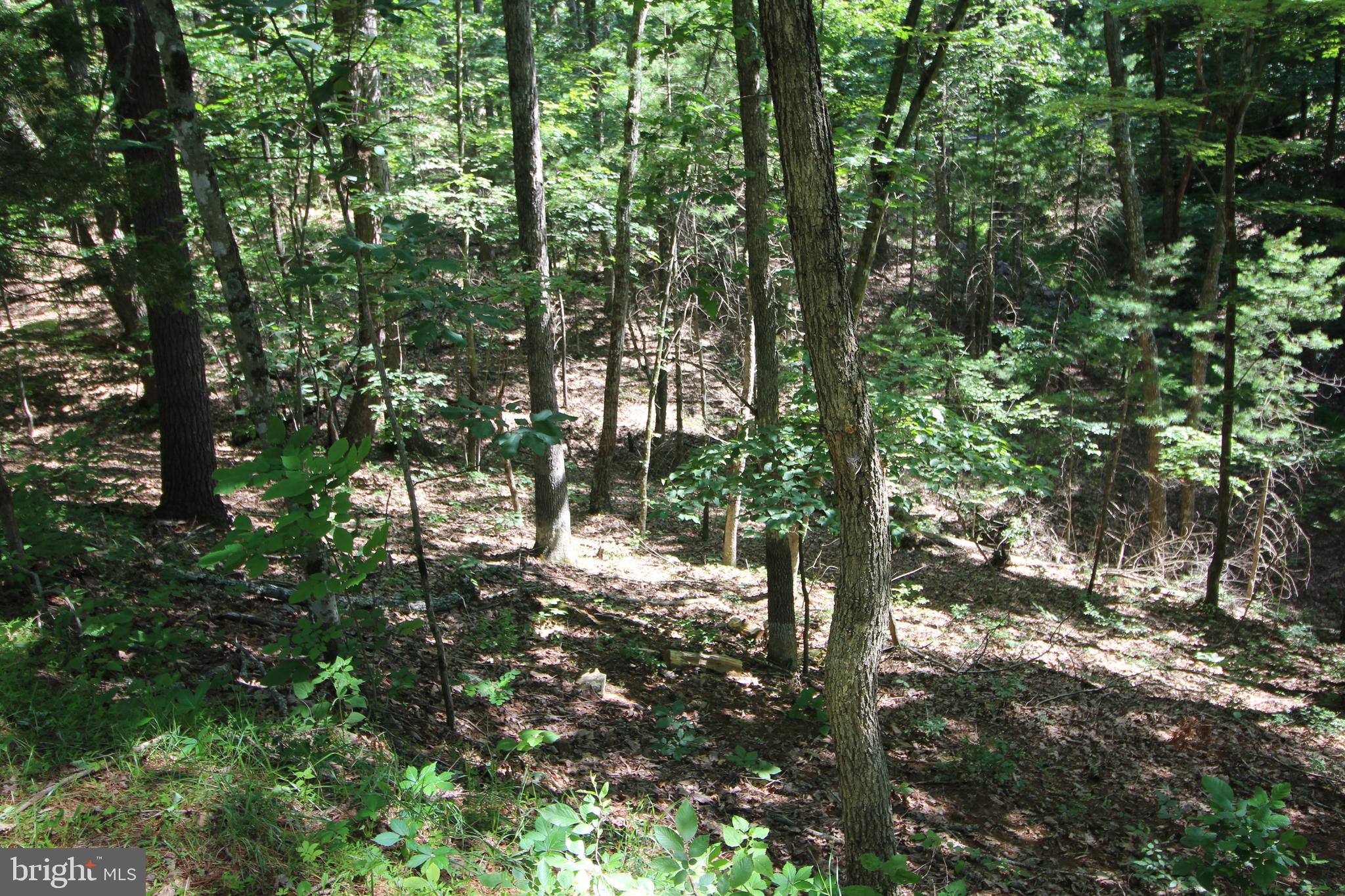0 Richmon Road Mount Jackson, VA 22842 - Photo 1 of 2