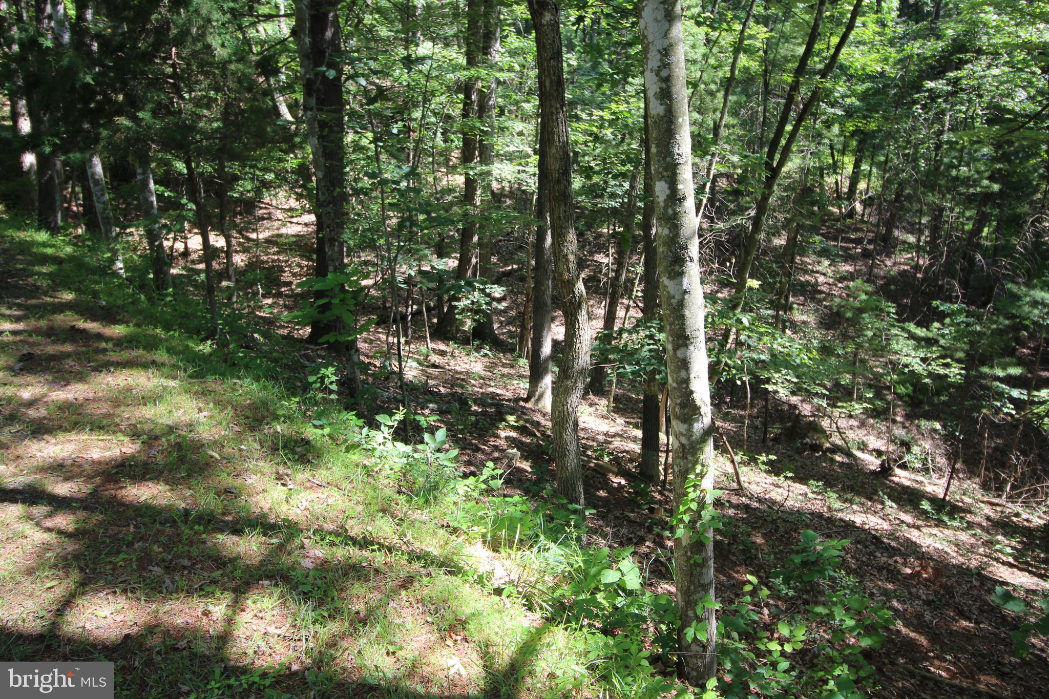0 Richmon Road Mount Jackson, VA 22842 - Photo 2 of 2