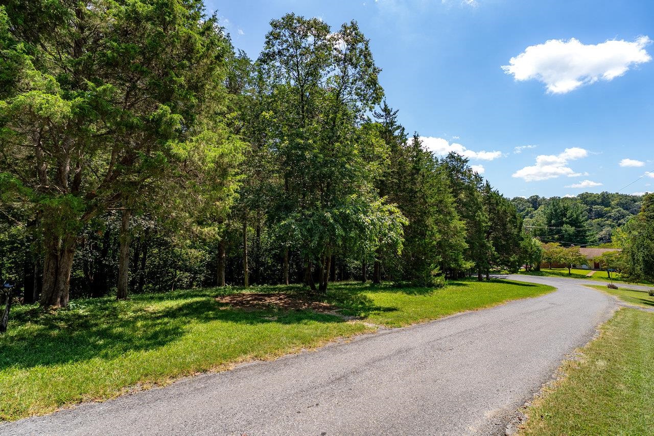 606 Riverside Drive Luray, VA 22835 - Photo 54 of 61