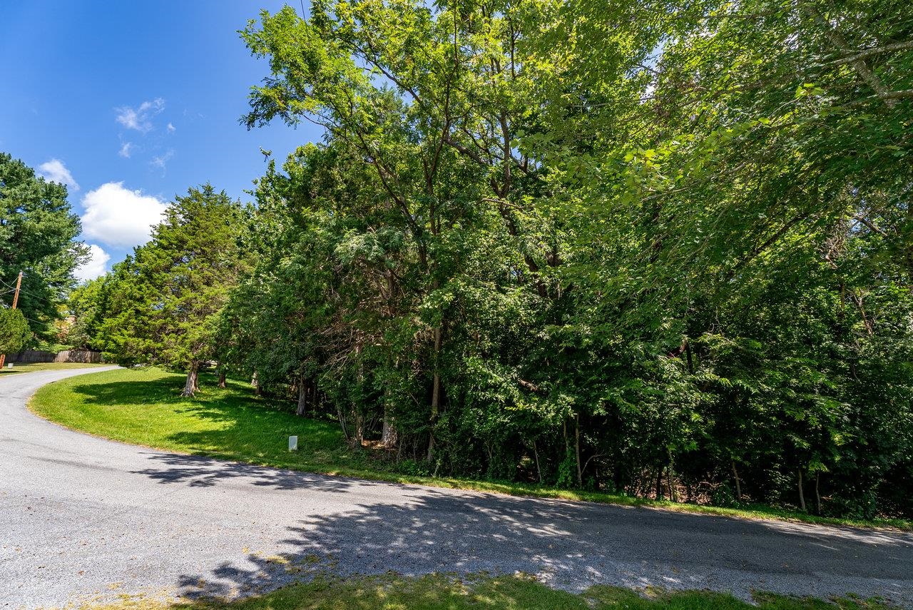 606 Riverside Drive Luray, VA 22835 - Photo 55 of 61