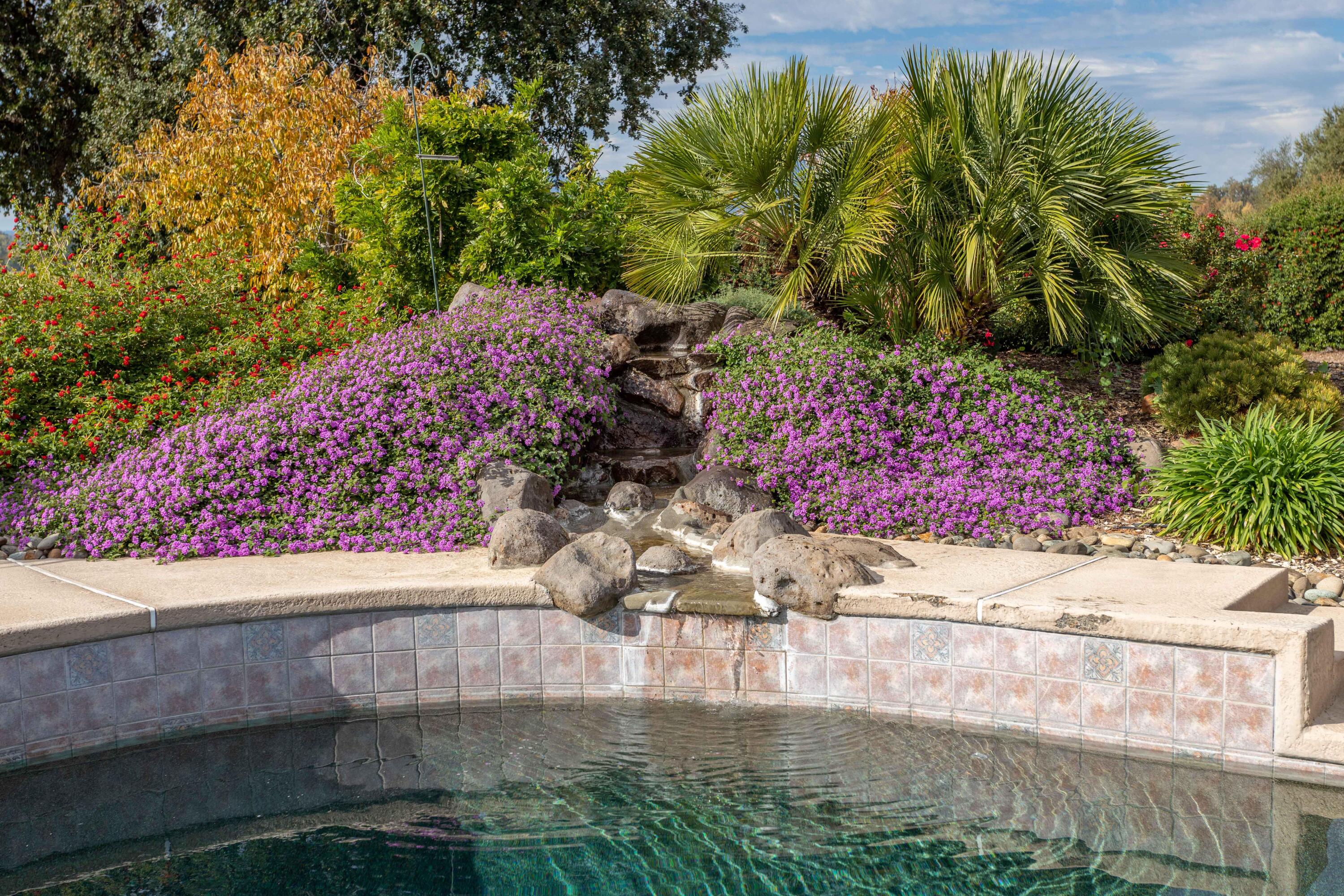 5956 Riverside Drive Redding, CA 96001 - Photo 50 of 54 a view of a garden with plants