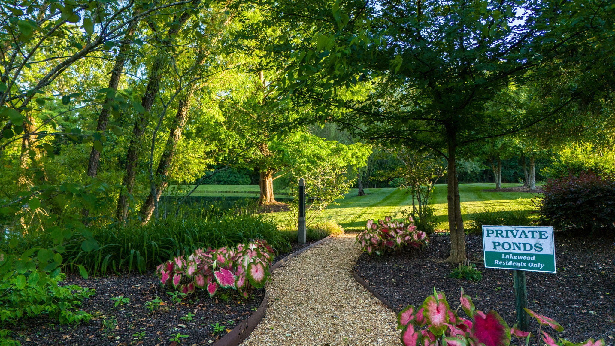 2415 Yellowood Court Cleveland, TN 37312 - Photo 73 of 83