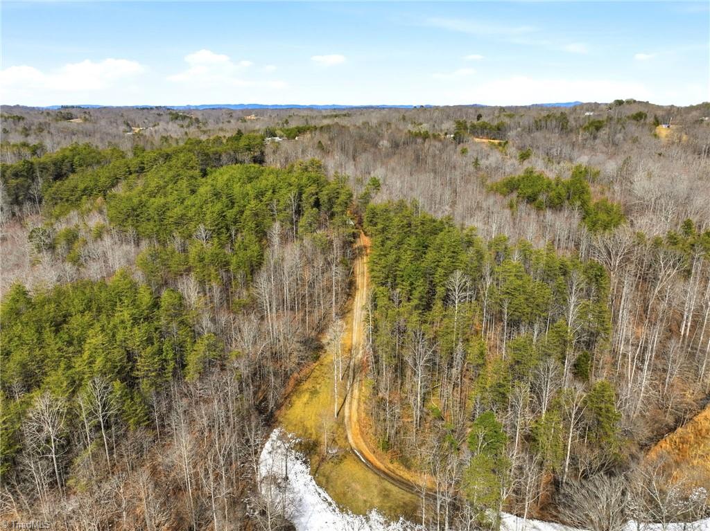 1324 Hardie Mabe Road Danbury, NC 27016 - Photo 13 of 41