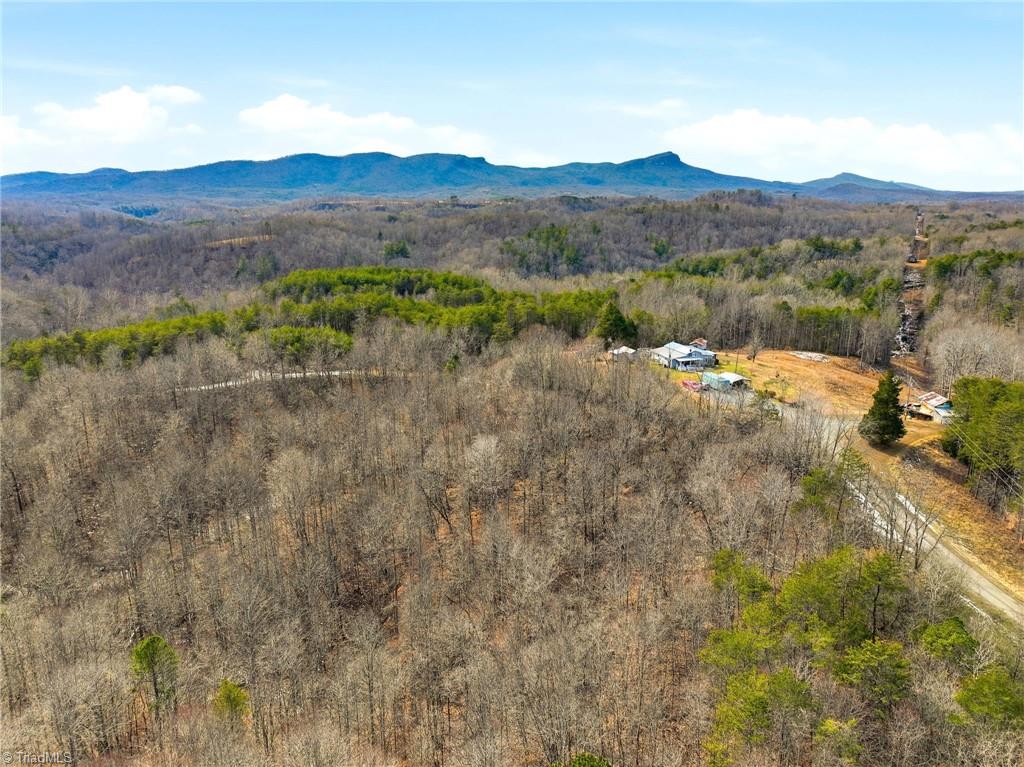 1324 Hardie Mabe Road Danbury, NC 27016 - Photo 14 of 41