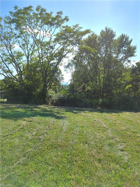 1324 Hardie Mabe Road Danbury, NC 27016 - Photo 17 of 41