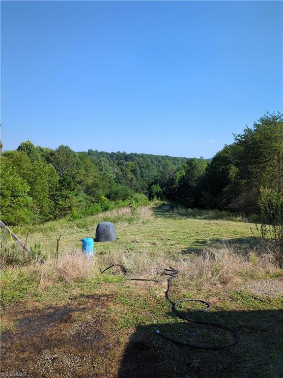 1324 Hardie Mabe Road Danbury, NC 27016 - Photo 18 of 41