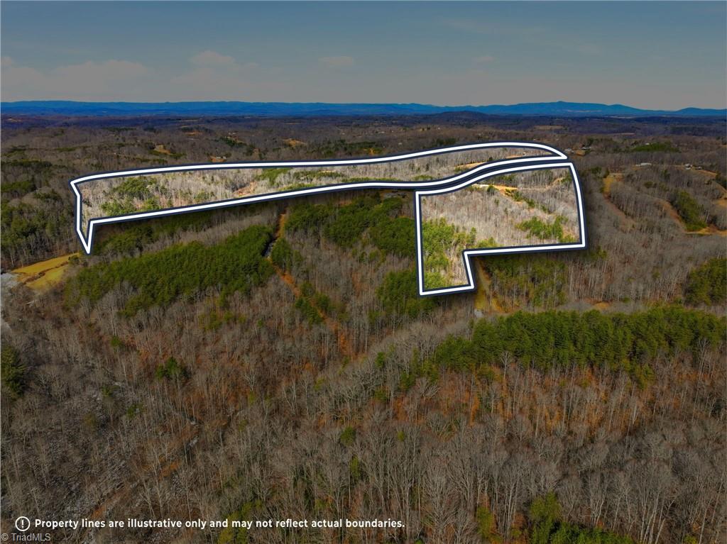 1324 Hardie Mabe Road Danbury, NC 27016 - Photo 2 of 41