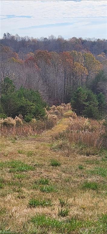 1324 Hardie Mabe Road Danbury, NC 27016 - Photo 22 of 41