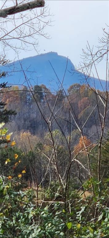 1324 Hardie Mabe Road Danbury, NC 27016 - Photo 23 of 41