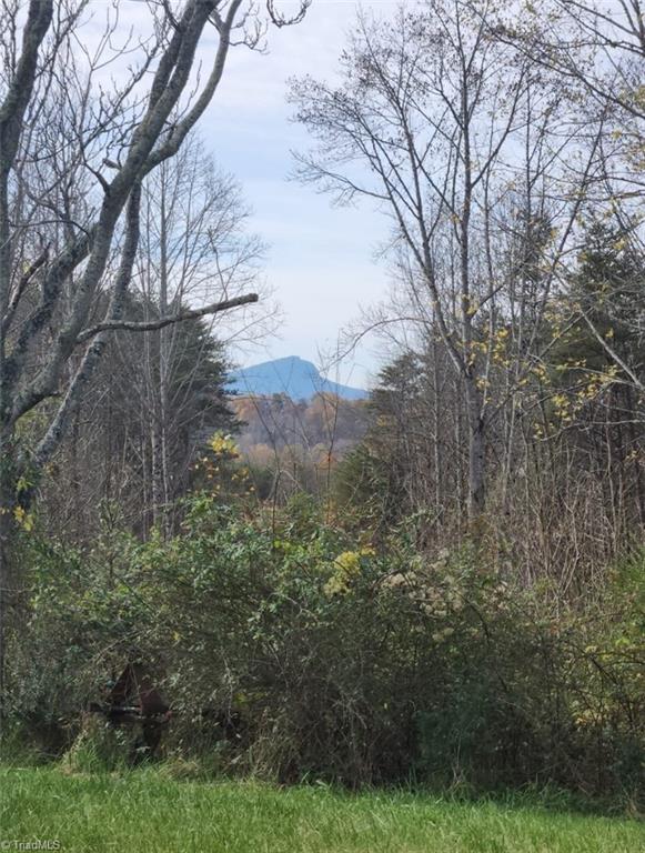 1324 Hardie Mabe Road Danbury, NC 27016 - Photo 24 of 41