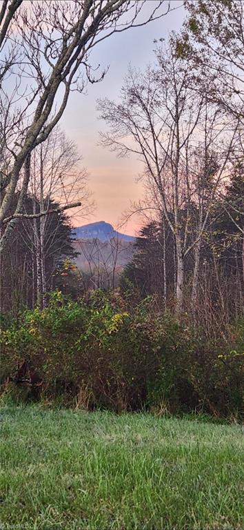 1324 Hardie Mabe Road Danbury, NC 27016 - Photo 25 of 41