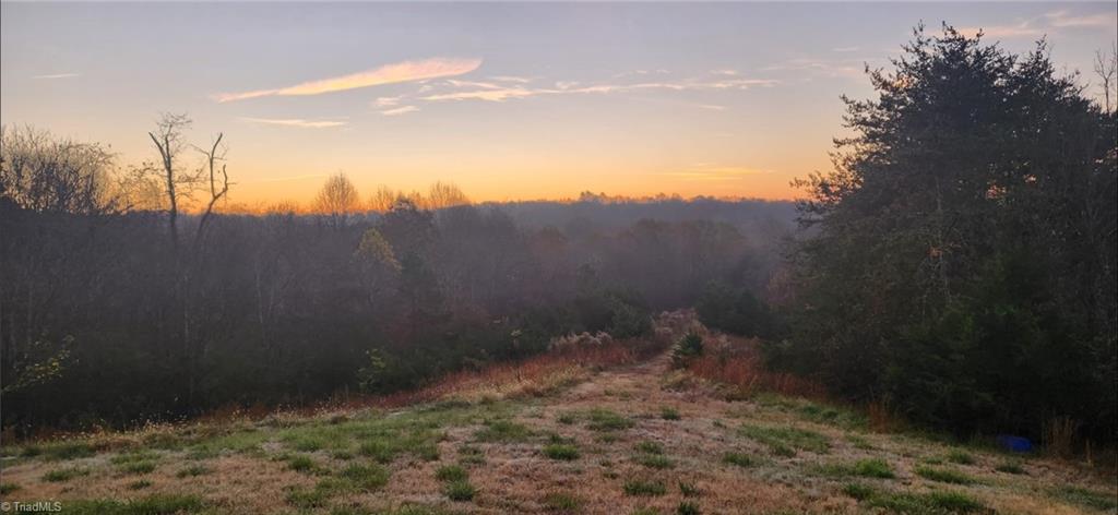 1324 Hardie Mabe Road Danbury, NC 27016 - Photo 27 of 41