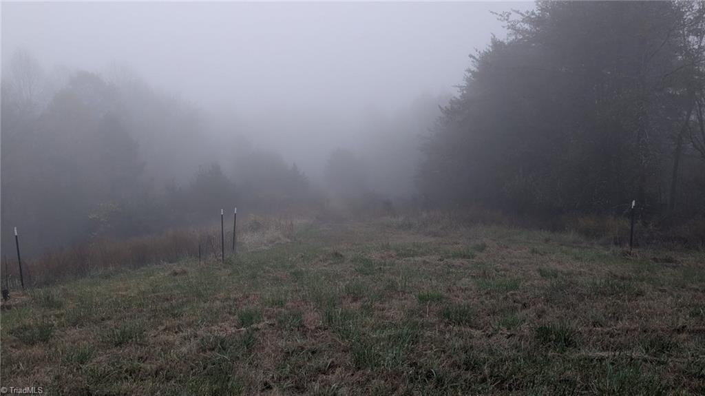 1324 Hardie Mabe Road Danbury, NC 27016 - Photo 28 of 41