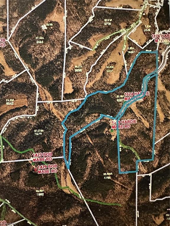 1324 Hardie Mabe Road Danbury, NC 27016 - Photo 30 of 41