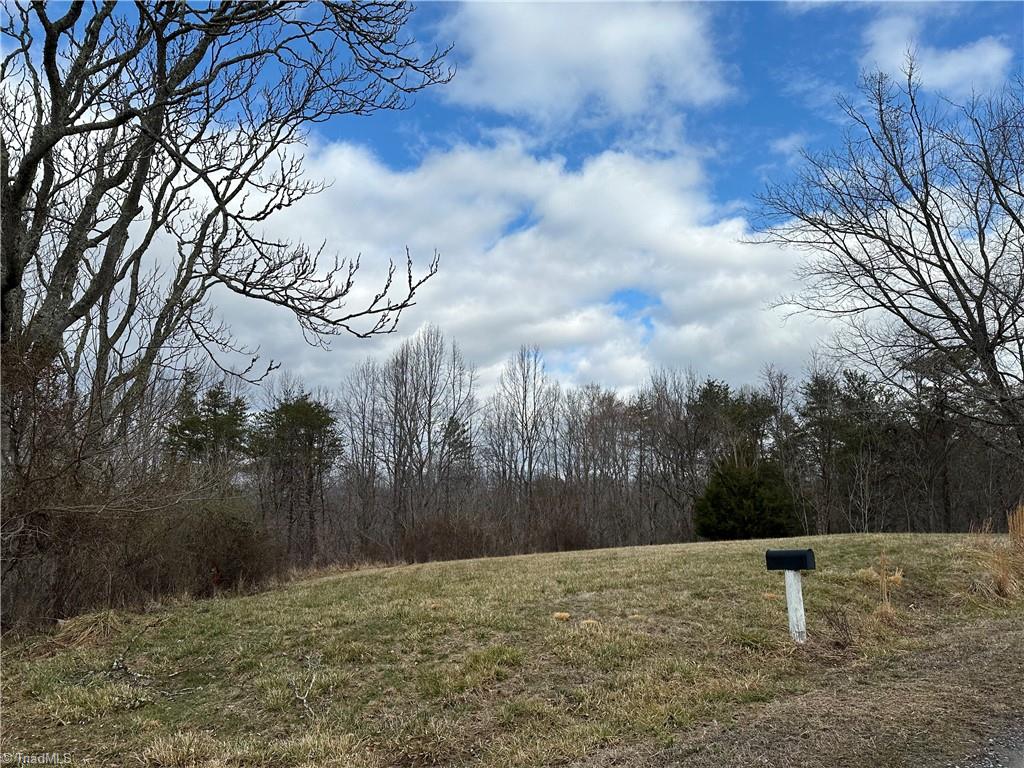 1324 Hardie Mabe Road Danbury, NC 27016 - Photo 37 of 41