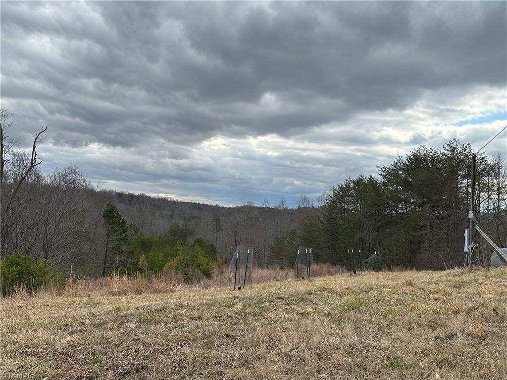 1324 Hardie Mabe Road Danbury, NC 27016 - Photo 38 of 41