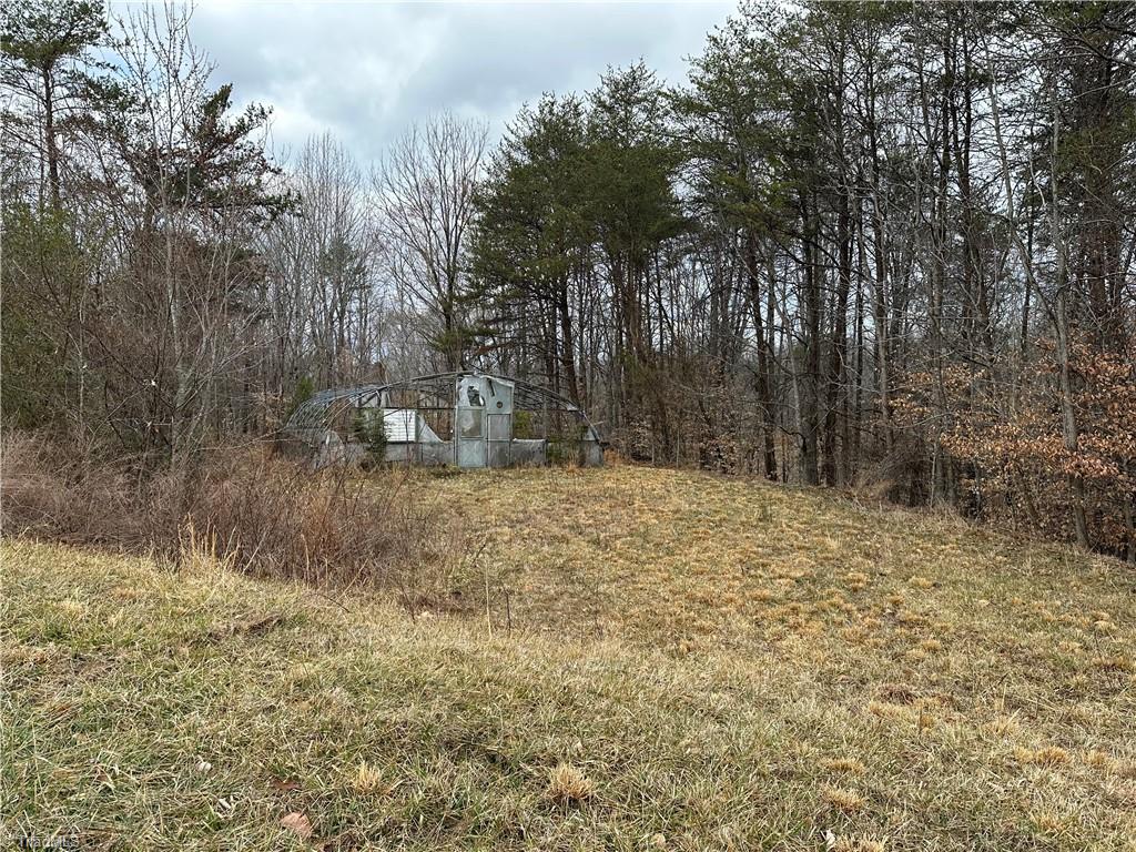 1324 Hardie Mabe Road Danbury, NC 27016 - Photo 40 of 41